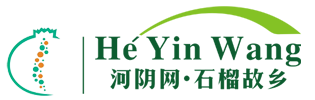 河阴石榴网